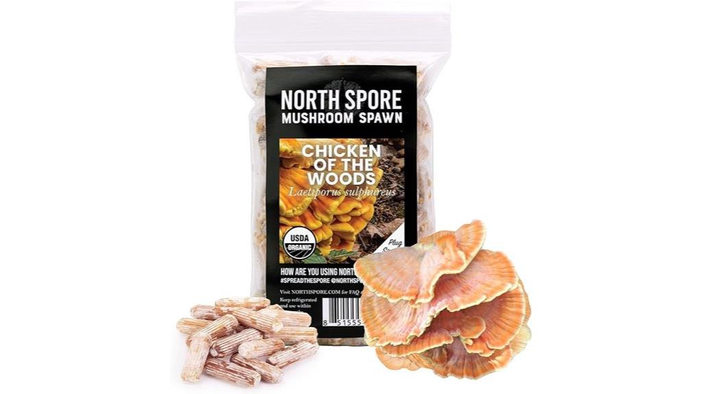 organic mushroom plug pack