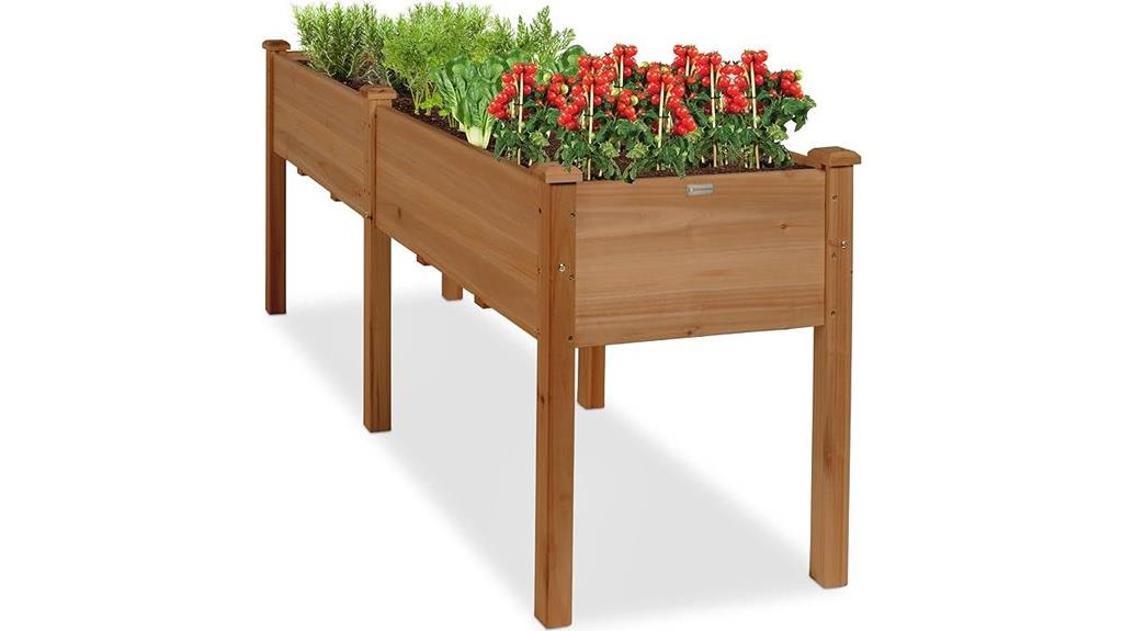 raised garden bed with divider