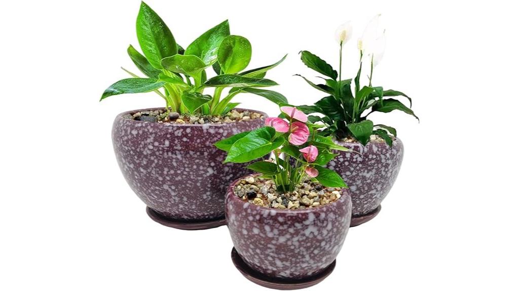 set of 3 ceramic pots
