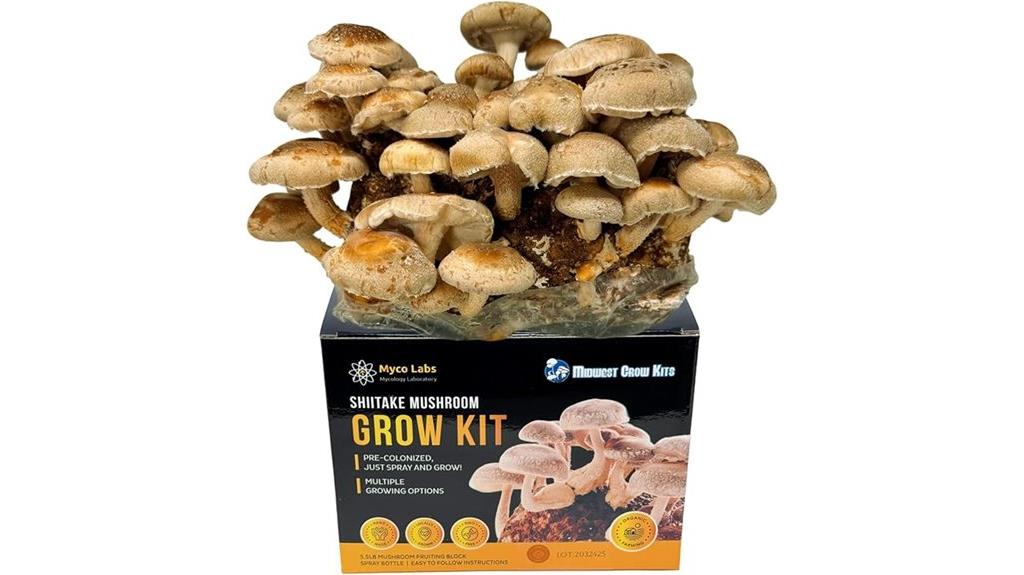 shiitake mushroom grow kit