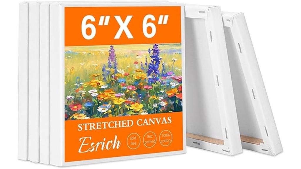 small canvas painting pack
