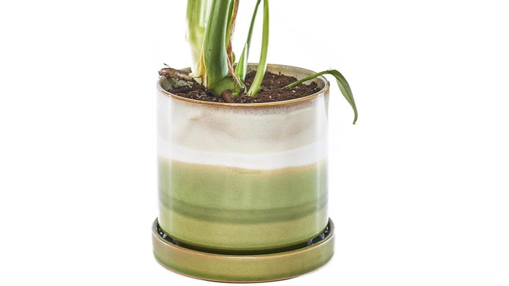 small ceramic plant pot