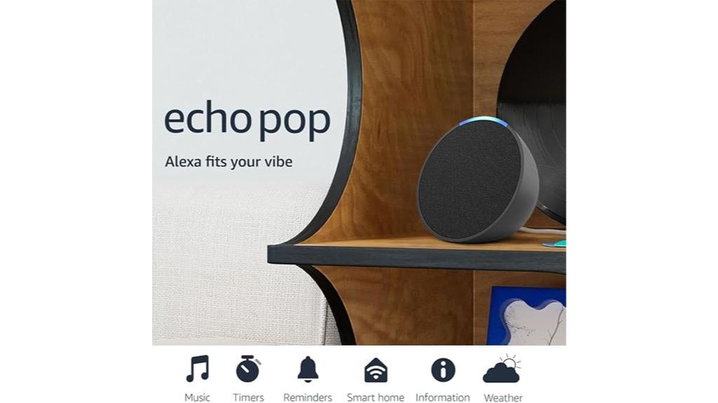 small charcoal alexa speaker