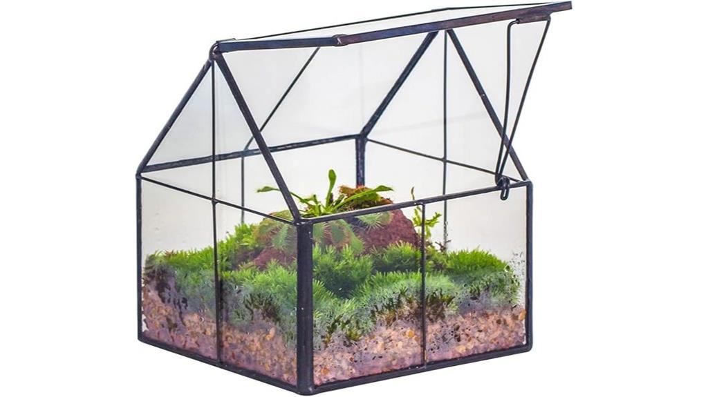 small glass geometric terrarium