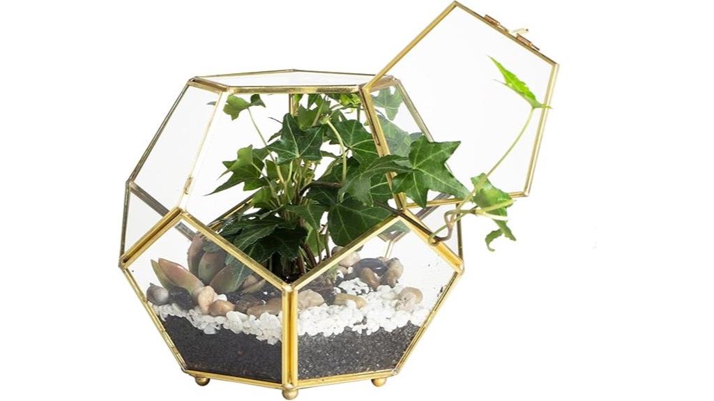 small gold pentagon terrarium