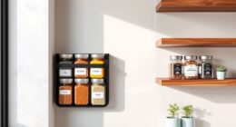 small kitchen spice storage
