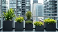 stylish urban plant holders