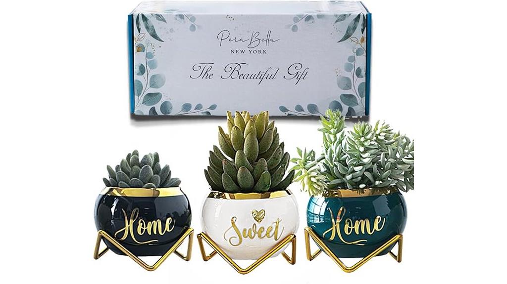 succulent pots housewarming gift