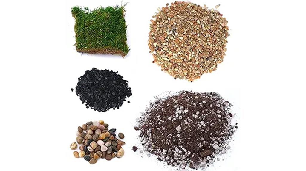 succulent terrarium planting kit