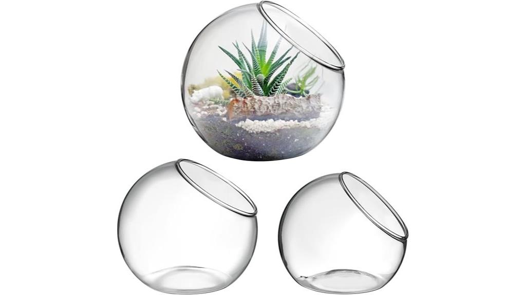 three pack glass plant holders