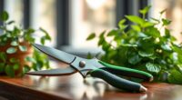 top indoor plant pruning tools