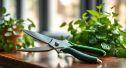 top indoor plant pruning tools