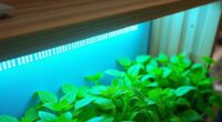 top shelf plant lighting