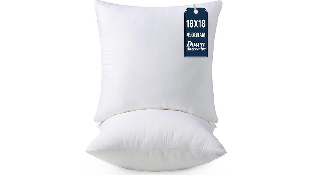 two 18 inch pillow inserts