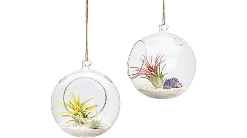 two pack glass planters