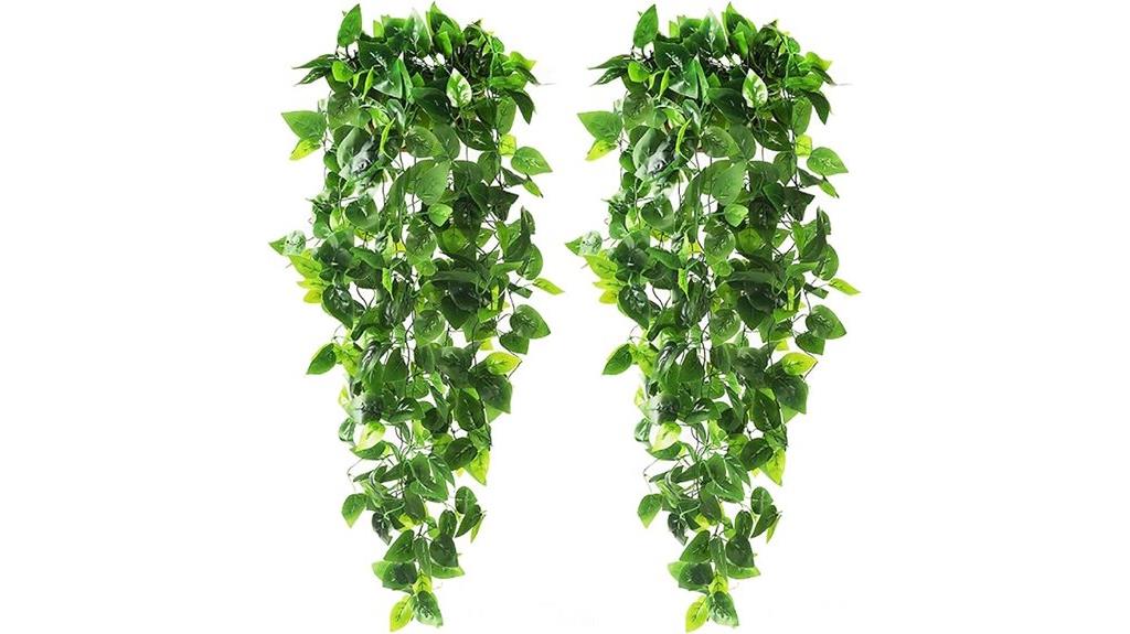 two pack ivy vines