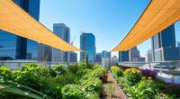 urban eco friendly gardening
