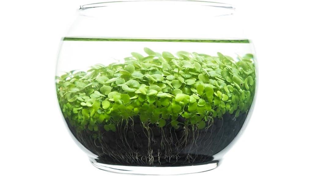 water terrarium kit components
