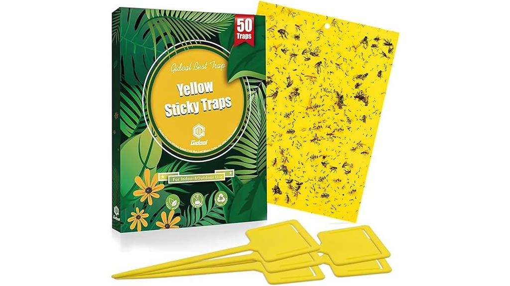 yellow sticky insect traps