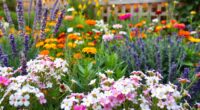 alyssum companion plants