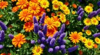 guide to flower companion planting