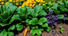ideal beet companion plants