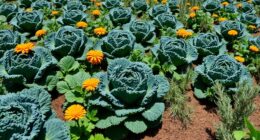 kale companion planting tips