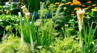 leek companion plants