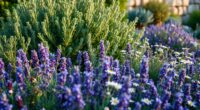 rosemary companion plants