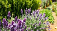 sage companion plants