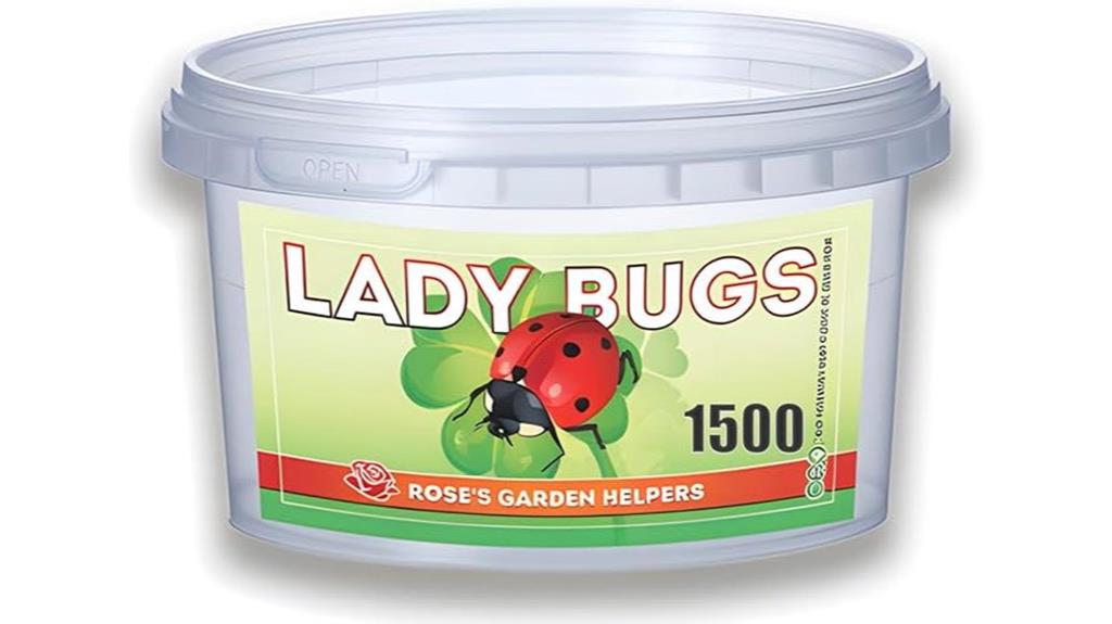 1500 ladybugs in container