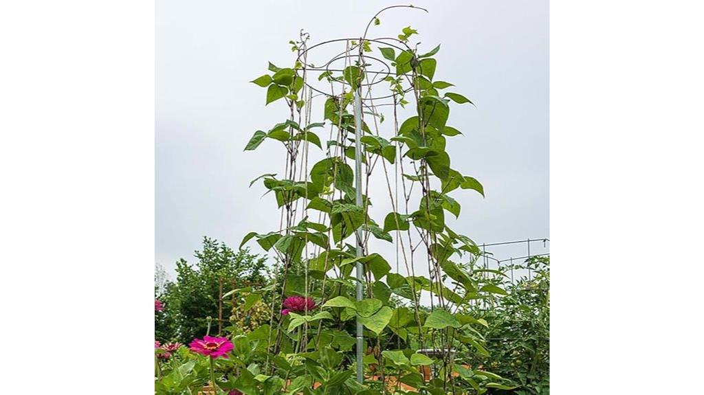 6 foot metal trellis