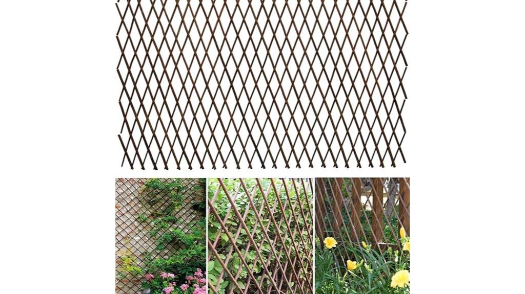 adjustable climbing plant fence