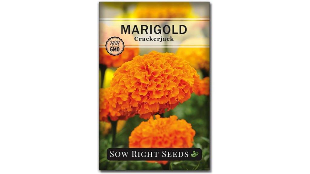 african marigold seed pack