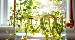 automatic plant watering system