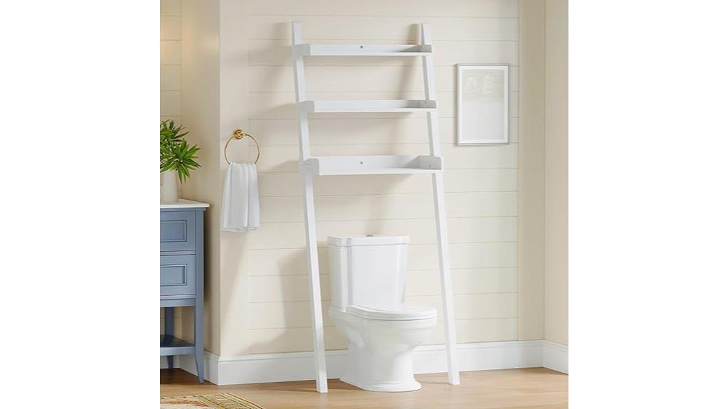 bathroom storage ladder