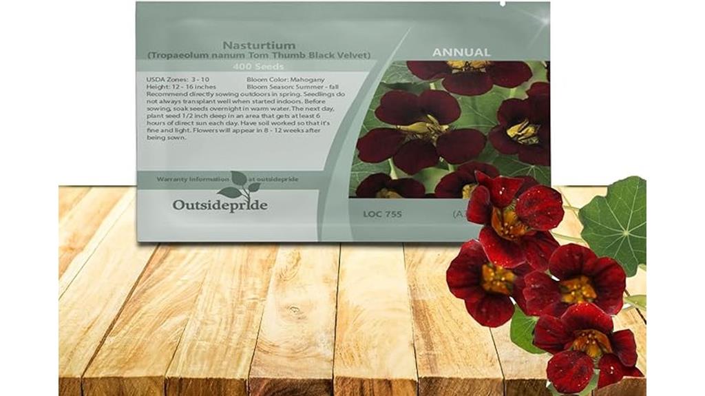 black velvet nasturtium seeds