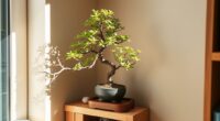 bonsai fits small spaces