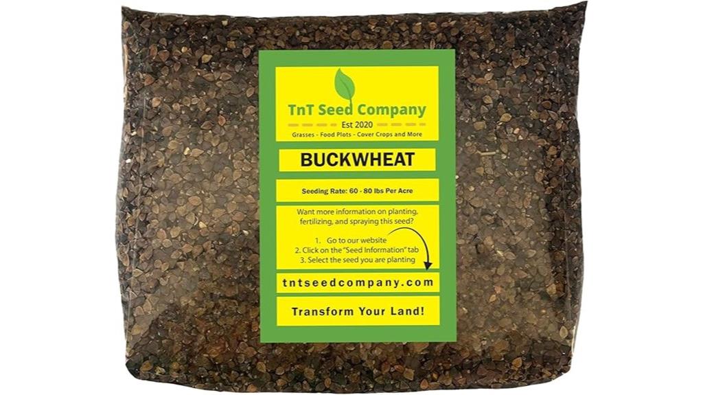 buckwheat seed for planting