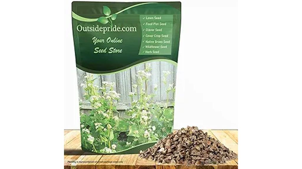 buckwheat seeds for soil