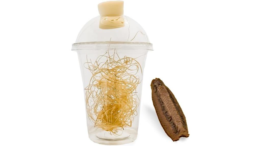 carolina mantis egg habitat