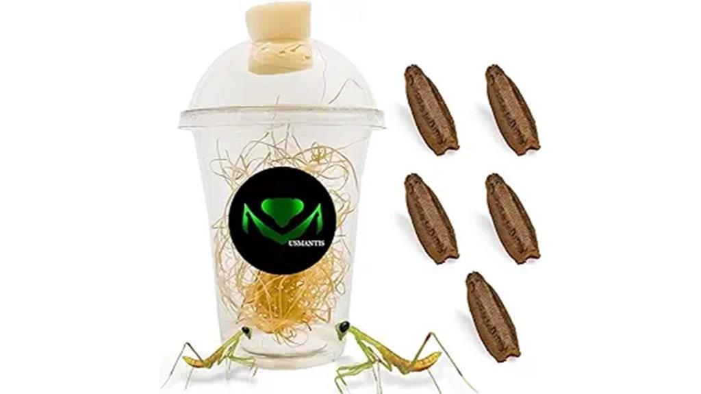 carolina mantis egg pack