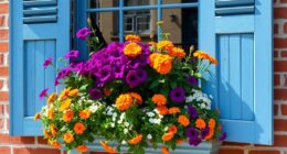 city window flower displays