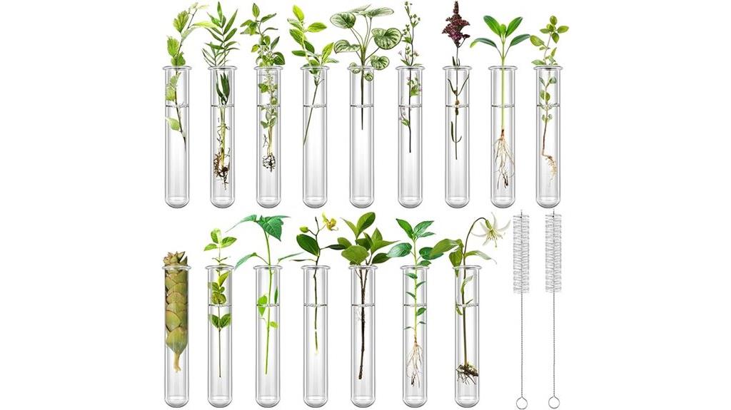 clear propagation tube set