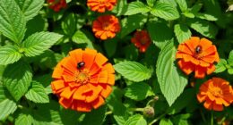 companion plants for pest control