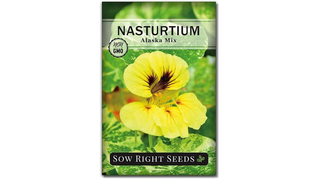 dwarf alaska nasturtium seeds