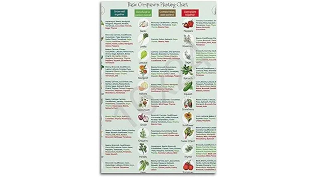garden planting companion guide