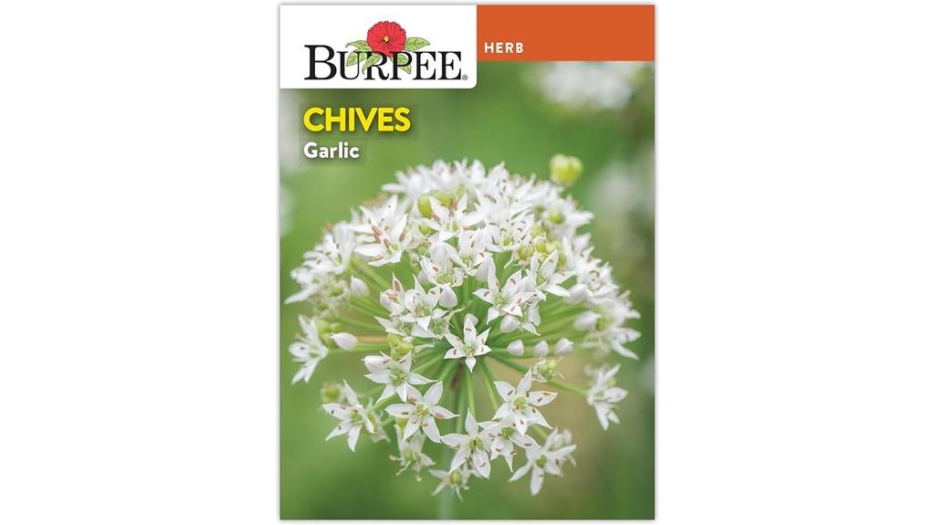 garlic chives herb seeds