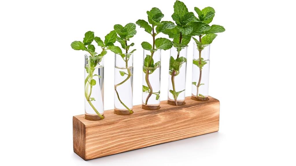 glass plant propagation station