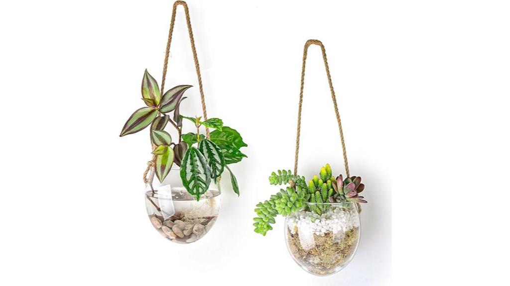 glass wall planters set
